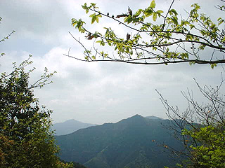 自然林から見る篠ヶ峰