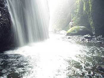 シワガラの滝　その３
