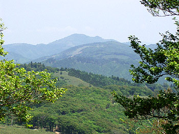 林道最高地点から見る三室山と天児屋山