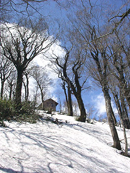 扇ノ山山頂小屋と北斜面のブナ林