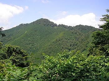 林道から見る陣鉢山