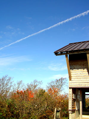 扇ノ山山頂小屋と飛行機雲