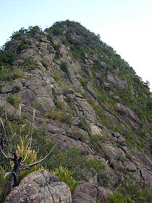 岩のパッチワーク　桶居山山頂